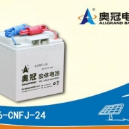 奥冠电池6-CNFJ-24