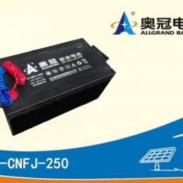 奥冠电池6-CNFJ-250