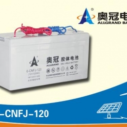 奥冠电池6-CNFJ-120
