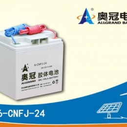 奥冠电池6-CNFJ-24